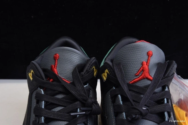 Jordan Retro Instinct CV3583-003 - Animal Air 2.0 3 SE 0809